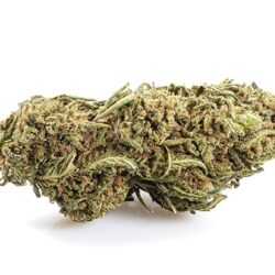 LEMON CHEESE cbd españa