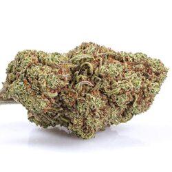 CALIFORNIA HAZE cbd españa