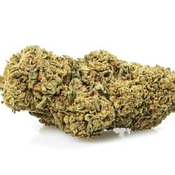 melon kush cbd españa