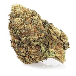 master kush cbd españa