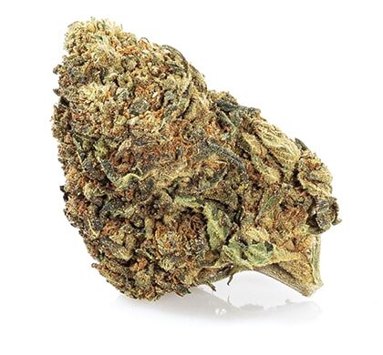 master kush cbd españa