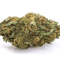 WHITE WIDOW cannabis cbd españa
