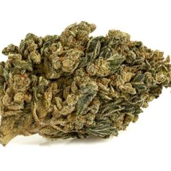 HQ CBD BOOST cbd españa cannabis